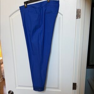 Chico’s Women’s Ankle Cropped Blue Pants